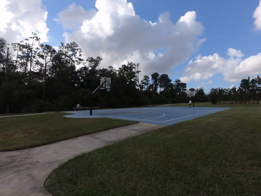 Dr. P. Phillips Community Dog Park photo 2